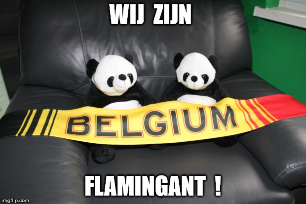 WIJ  ZIJN; FLAMINGANT  ! | image tagged in panda | made w/ Imgflip meme maker