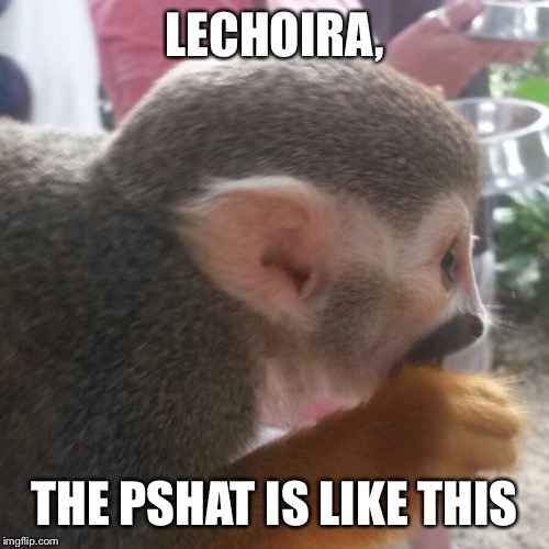 Monkey explainer | LECHOIRA, THE PSHAT IS LIKE THIS | image tagged in monkey explainer | made w/ Imgflip meme maker