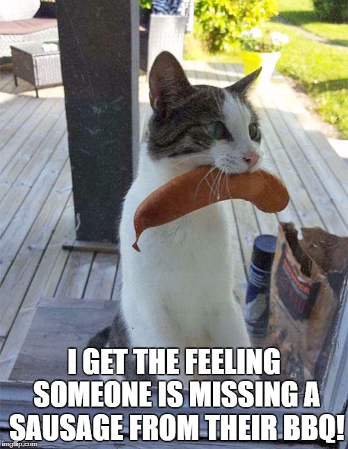 Cat snatcher | I GET THE FEELING SOMEONE IS MISSING A SAUSAGE FROM THEIR BBQ! | image tagged in cat snatcher,cat stealing sausage,cat thief | made w/ Imgflip meme maker