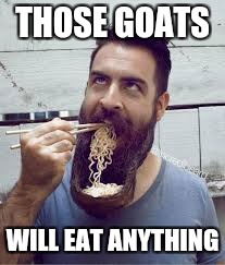 THOSE GOATS WILL EAT ANYTHING | made w/ Imgflip meme maker