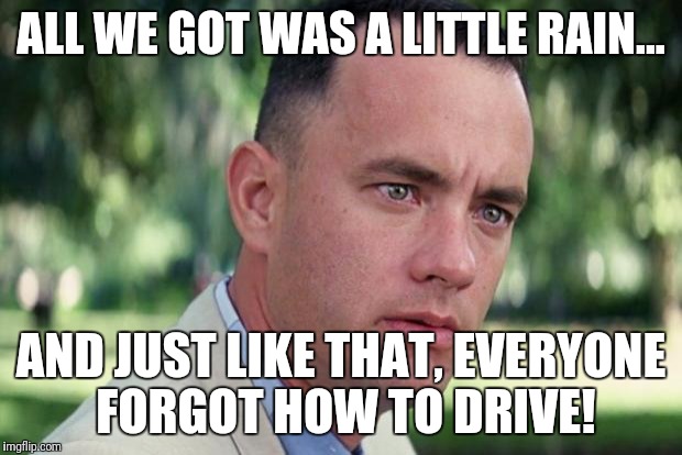 And Just Like That Meme | ALL WE GOT WAS A LITTLE RAIN... AND JUST LIKE THAT, EVERYONE FORGOT HOW TO DRIVE! | image tagged in forrest gump | made w/ Imgflip meme maker