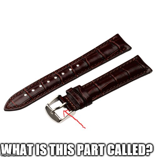 What part? | WHAT IS THIS PART CALLED? | image tagged in watch band | made w/ Imgflip meme maker