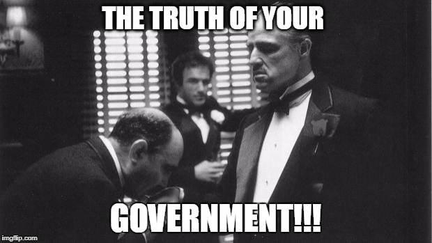 Godfather Authority | THE TRUTH OF YOUR; GOVERNMENT!!! | image tagged in godfather authority | made w/ Imgflip meme maker
