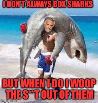 Shark boxing | I DON'T ALWAYS BOX SHARKS; BUT WHEN I DO I WOOP THE S**T OUT OF THEM | image tagged in boxing,shark,the most interesting cat in the world | made w/ Imgflip meme maker