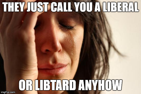 First World Problems Meme | THEY JUST CALL YOU A LIBERAL OR LIBTARD ANYHOW | image tagged in memes,first world problems | made w/ Imgflip meme maker