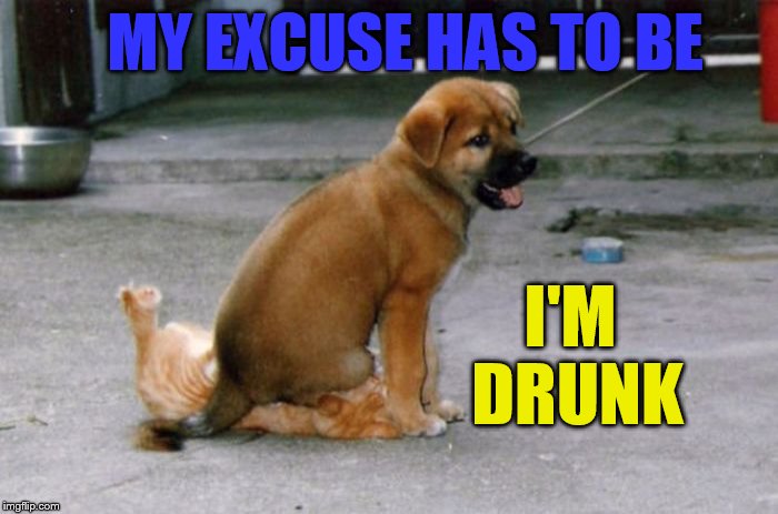 Oh My! | MY EXCUSE HAS TO BE; I'M DRUNK | image tagged in memes,drunk dog,excuses,sitting,on the cat,unbelievable | made w/ Imgflip meme maker