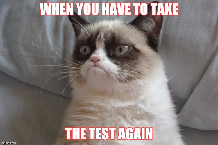 Grump Cat Awake | WHEN YOU HAVE TO TAKE; THE TEST AGAIN | image tagged in grump cat awake | made w/ Imgflip meme maker