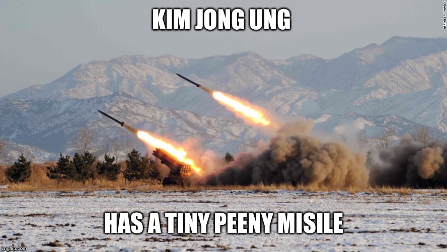 Kim Jong ung s tiny peeny | KIM JONG UNG; HAS A TINY PEENY MISILE | image tagged in kim jong ung s tiny peeny | made w/ Imgflip meme maker