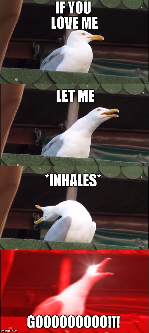 Inhaling Seagull Meme | IF YOU LOVE ME; LET ME; *INHALES*; GOOOOOOOOO!!! | image tagged in inhaling seagull | made w/ Imgflip meme maker