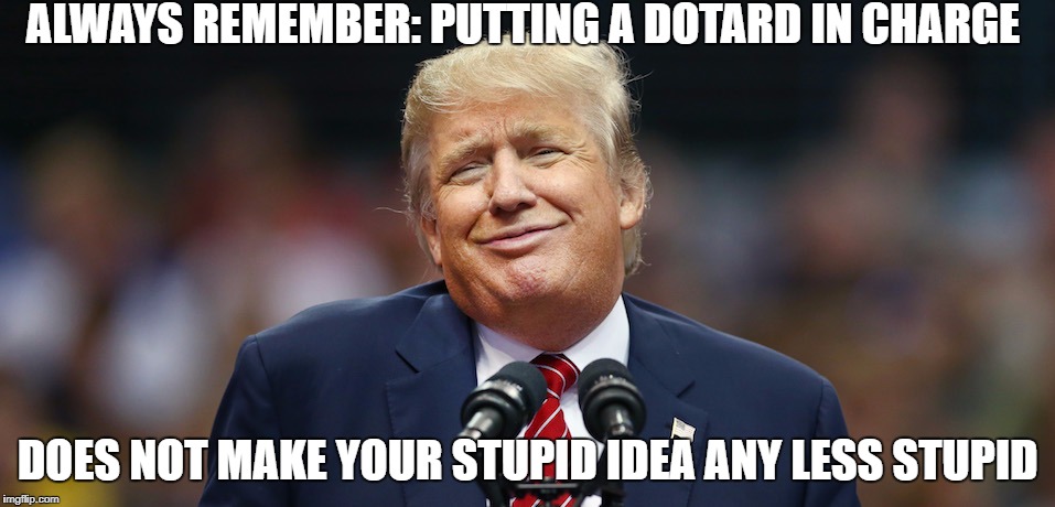 Dotard In Charge | ALWAYS REMEMBER: PUTTING A DOTARD IN CHARGE; DOES NOT MAKE YOUR STUPID IDEA ANY LESS STUPID | image tagged in stupid trump | made w/ Imgflip meme maker
