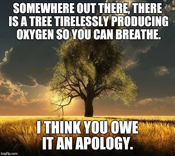 Tree of Life | SOMEWHERE OUT THERE, THERE IS A TREE TIRELESSLY PRODUCING OXYGEN SO YOU CAN BREATHE. I THINK YOU OWE IT AN APOLOGY. | image tagged in tree of life | made w/ Imgflip meme maker
