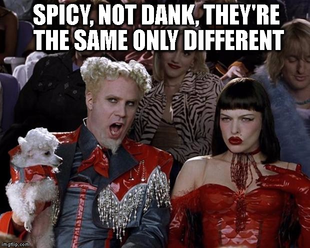 Spicy, not dank | SPICY, NOT DANK, THEY'RE THE SAME ONLY DIFFERENT | image tagged in so hot right now | made w/ Imgflip meme maker