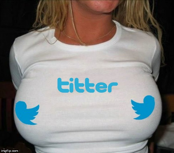 image tagged in twitter,twitter birds says,tits,boobs,big boobs,boom boom boobs | made w/ Imgflip meme maker