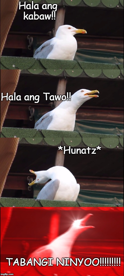 Inhaling Seagull Meme | Hala ang kabaw!! Hala ang Tawo!! *Hunatz*; TABANGI NINYOO!!!!!!!!! | image tagged in inhaling seagull | made w/ Imgflip meme maker