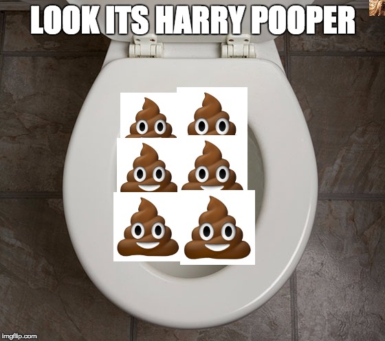Toliet | LOOK ITS HARRY POOPER | image tagged in toliet | made w/ Imgflip meme maker