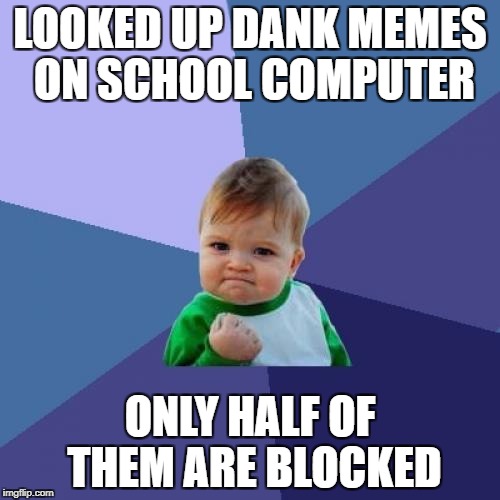 Success Kid | LOOKED UP DANK MEMES ON SCHOOL COMPUTER; ONLY HALF OF THEM ARE BLOCKED | image tagged in memes,success kid | made w/ Imgflip meme maker