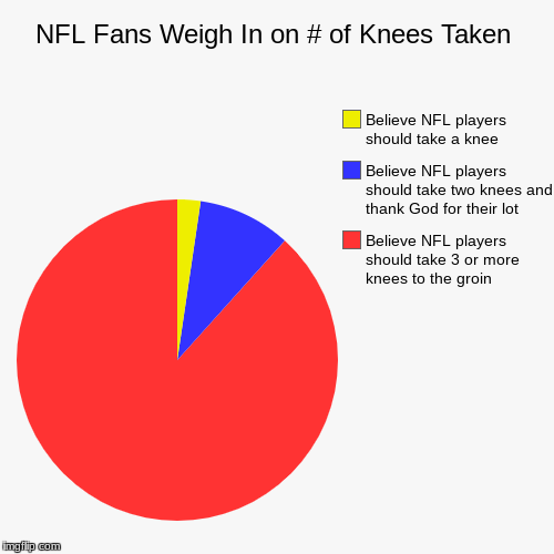 image tagged in funny,pie charts,nfl football,take a knee,groin hit,national anthem | made w/ Imgflip chart maker
