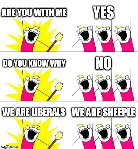 What Do We Want 3 Meme | ARE YOU WITH ME; YES; DO YOU KNOW WHY; NO; WE ARE LIBERALS; WE ARE SHEEPLE | image tagged in memes,what do we want 3 | made w/ Imgflip meme maker