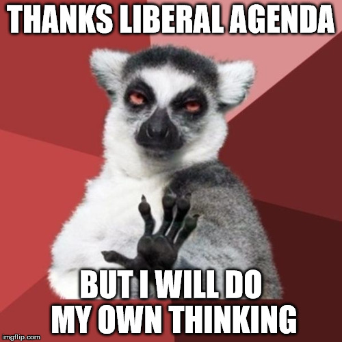 Chill Out Lemur | THANKS LIBERAL AGENDA; BUT I WILL DO MY OWN THINKING | image tagged in memes,chill out lemur | made w/ Imgflip meme maker