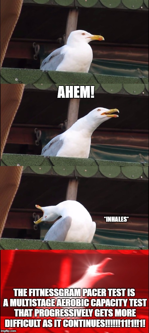 Inhaling Seagull | AHEM! *INHALES*; THE FITNESSGRAM PACER TEST IS A MULTISTAGE AEROBIC CAPACITY TEST THAT PROGRESSIVELY GETS MORE DIFFICULT AS IT CONTINUES!!!!!!11!1!!1! | image tagged in inhaling seagull | made w/ Imgflip meme maker