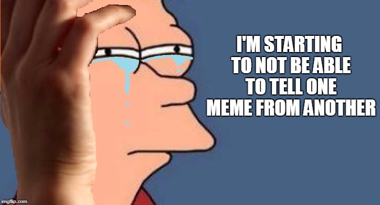 not sure if i have first world problems | I'M STARTING TO NOT BE ABLE TO TELL ONE MEME FROM ANOTHER | image tagged in fry world problems bl4h,fry not sure,1st world problems,memes,funny memes | made w/ Imgflip meme maker