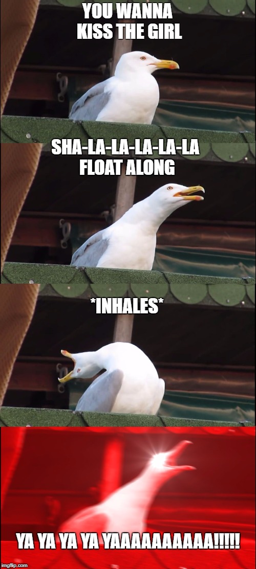 Inhaling Seagull Meme | YOU WANNA KISS THE GIRL; SHA-LA-LA-LA-LA-LA FLOAT ALONG; *INHALES*; YA YA YA YA YAAAAAAAAAA!!!!! | image tagged in inhaling seagull | made w/ Imgflip meme maker