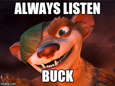 ALWAYS LISTEN; BUCK | image tagged in buck | made w/ Imgflip meme maker