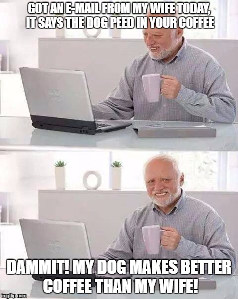 Hide the Pain Harold Meme | GOT AN E-MAIL FROM MY WIFE TODAY, IT SAYS THE DOG PEED IN YOUR COFFEE; DAMMIT! MY DOG MAKES BETTER COFFEE THAN MY WIFE! | image tagged in memes,hide the pain harold | made w/ Imgflip meme maker