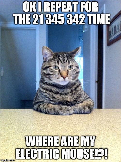 where are my electric mouse | OK I REPEAT FOR THE 21 345 342 TIME; WHERE ARE MY ELECTRIC MOUSE!?! | image tagged in memes,take a seat cat | made w/ Imgflip meme maker