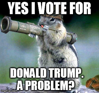 Bazooka Squirrel | YES I VOTE FOR; DONALD TRUMP.        A PROBLEM? | image tagged in memes,bazooka squirrel | made w/ Imgflip meme maker