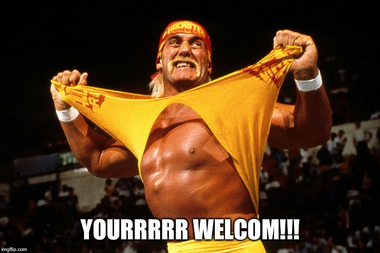 Hulk Hogan  | YOURRRRR WELCOM!!! | image tagged in hulk hogan | made w/ Imgflip meme maker