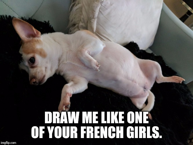 DRAW ME LIKE ONE OF YOUR FRENCH GIRLS. | image tagged in princesa cupcake | made w/ Imgflip meme maker