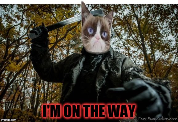 grumpy cat jason | I'M ON THE WAY | image tagged in grumpy cat jason | made w/ Imgflip meme maker