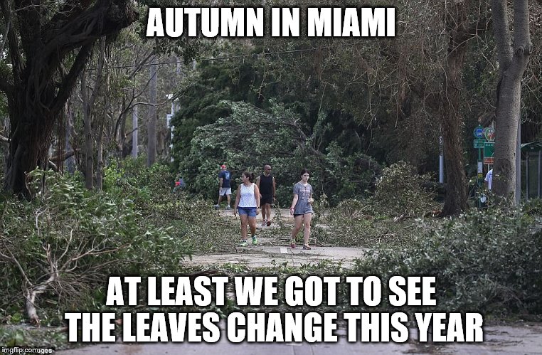 AUTUMN IN MIAMI; AT LEAST WE GOT TO SEE THE LEAVES CHANGE THIS YEAR | image tagged in miami,irma,autumn | made w/ Imgflip meme maker