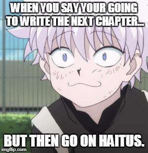 WHEN YOU SAY YOUR GOING TO WRITE THE NEXT CHAPTER... BUT THEN GO ON HAITUS. | image tagged in hunter x hunter,killua,haitus x haitus | made w/ Imgflip meme maker
