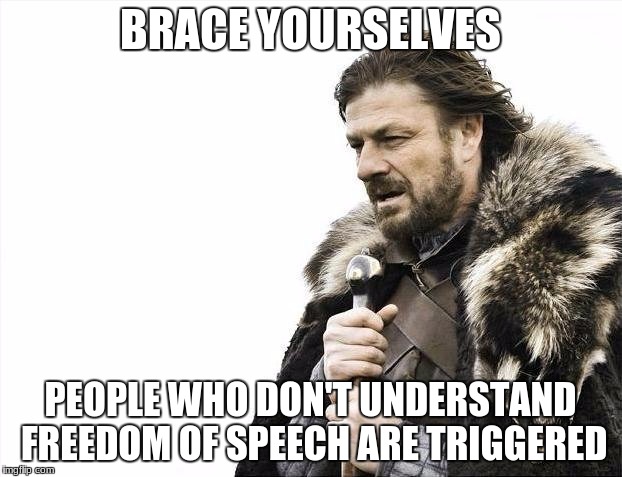 Brace Yourselves X is Coming Meme | BRACE YOURSELVES; PEOPLE WHO DON'T UNDERSTAND FREEDOM OF SPEECH ARE TRIGGERED | image tagged in memes,brace yourselves x is coming | made w/ Imgflip meme maker