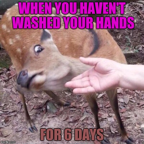 nope | WHEN YOU HAVEN'T WASHED YOUR HANDS; FOR 6 DAYS | image tagged in nope | made w/ Imgflip meme maker
