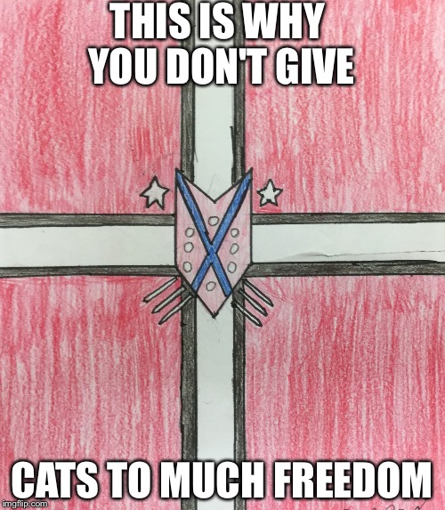 My cat started the cat union | THIS IS WHY YOU DON'T GIVE; CATS TO MUCH FREEDOM | image tagged in cats,union,revolution,flag | made w/ Imgflip meme maker