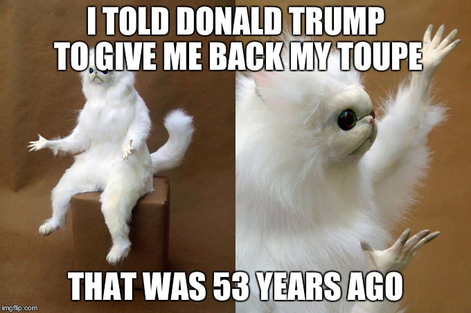 Persian Cat Room Guardian | I TOLD DONALD TRUMP TO GIVE ME BACK MY TOUPE; THAT WAS 53 YEARS AGO | image tagged in memes,persian cat room guardian | made w/ Imgflip meme maker