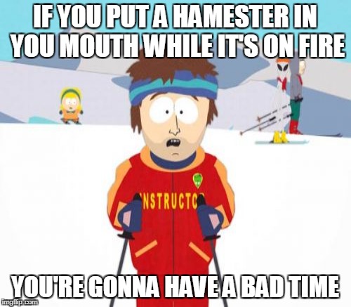 IF YOU PUT A HAMESTER IN YOU MOUTH WHILE IT'S ON FIRE YOU'RE GONNA HAVE A BAD TIME | made w/ Imgflip meme maker