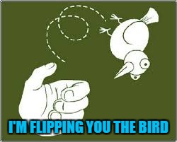 I'M FLIPPING YOU THE BIRD | made w/ Imgflip meme maker