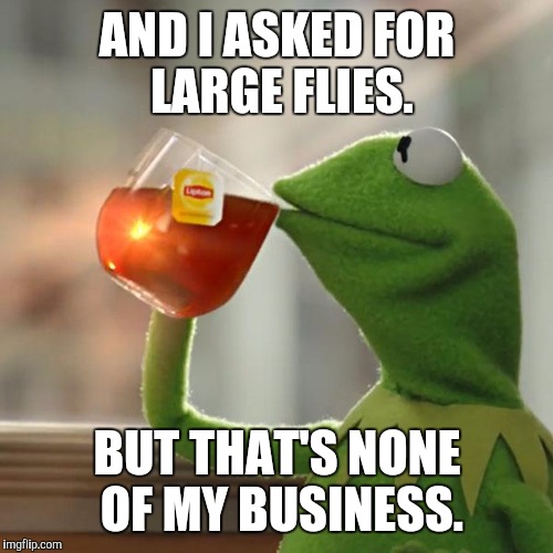 But That's None Of My Business Meme | AND I ASKED FOR LARGE FLIES. BUT THAT'S NONE OF MY BUSINESS. | image tagged in memes,but thats none of my business,kermit the frog | made w/ Imgflip meme maker