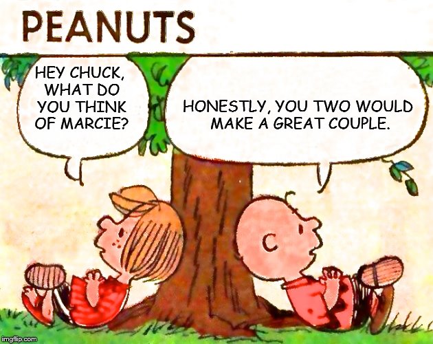 Charlie Brown thinks Peppermint Patty and Marcie would make a great couple. | HONESTLY, YOU TWO WOULD MAKE A GREAT COUPLE. HEY CHUCK, WHAT DO YOU THINK OF MARCIE? | image tagged in peanuts charlie brown peppermint patty | made w/ Imgflip meme maker