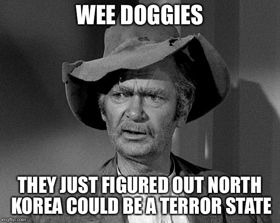 Jed Clampett | WEE DOGGIES; THEY JUST FIGURED OUT NORTH KOREA COULD BE A TERROR STATE | image tagged in jed clampett | made w/ Imgflip meme maker