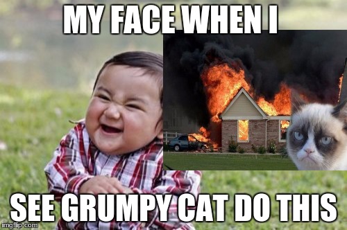 my face | MY FACE WHEN I; SEE GRUMPY CAT DO THIS | image tagged in grumpy cat,burn kitty | made w/ Imgflip meme maker