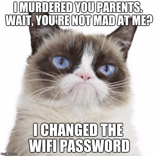 I MURDERED YOU PARENTS. WAIT, YOU'RE NOT MAD AT ME? I CHANGED THE WIFI PASSWORD | image tagged in memes,funny memes,grumpy cat,dank memes,cool cat | made w/ Imgflip meme maker