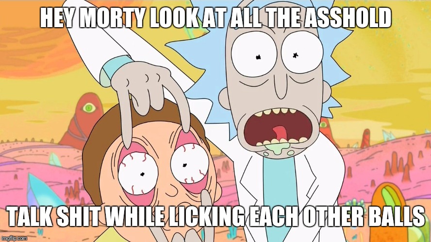 Rick and Morty Scam | HEY MORTY LOOK AT ALL THE ASSHOLD; TALK SHIT WHILE LICKING EACH OTHER BALLS | image tagged in rick and morty scam | made w/ Imgflip meme maker