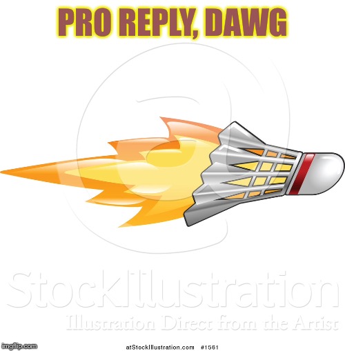 PRO REPLY, DAWG | made w/ Imgflip meme maker