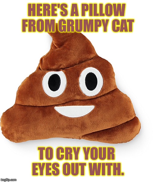 HERE'S A PILLOW FROM GRUMPY CAT TO CRY YOUR EYES OUT WITH. | made w/ Imgflip meme maker