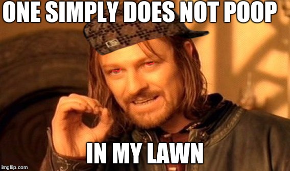 One Does Not Simply Meme | ONE SIMPLY DOES NOT POOP; IN MY LAWN | image tagged in memes,one does not simply,scumbag | made w/ Imgflip meme maker